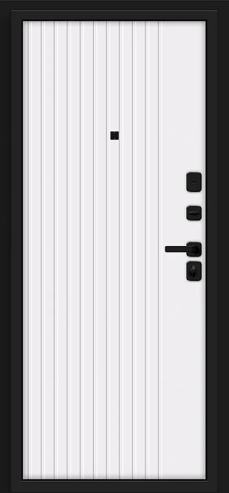 Товар Дверь Граффити-32/SBlack Black Shell/White Pro BR6160